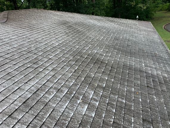 Roof cleaning in columbus oh  (1)
