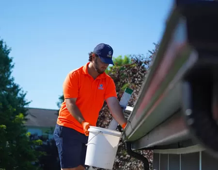 Roof Cleaning