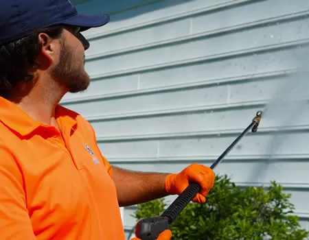 Roof Cleaning