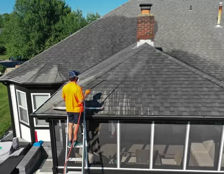 Roof Cleaning