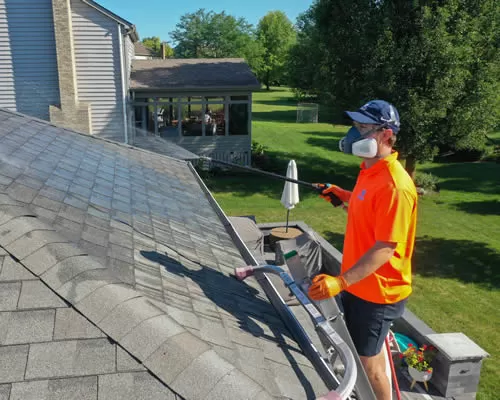 Roof Cleaning