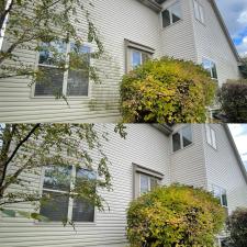 Transformative Power Washing and Window Cleaning in New Albany, Ohio
