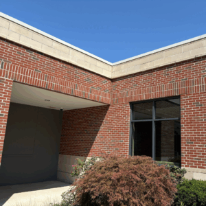 Untitled design (17)